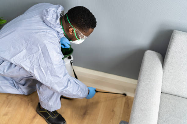 Best Pest Prevention Services  in Enterprise, OR